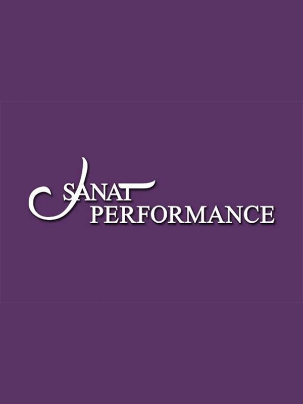 Sanat Performance